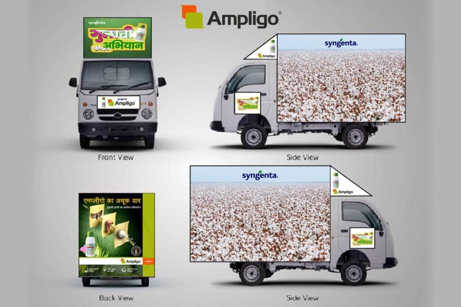 Ampligo 01